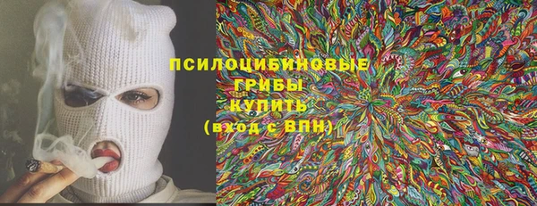 ПСИЛОЦИБИНОВЫЕ ГРИБЫ Аркадак